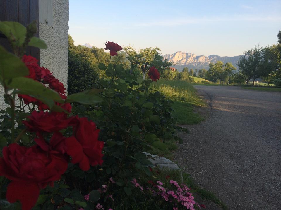 Rauhbergerhof Villa Tiefgraben ภายนอก รูปภาพ