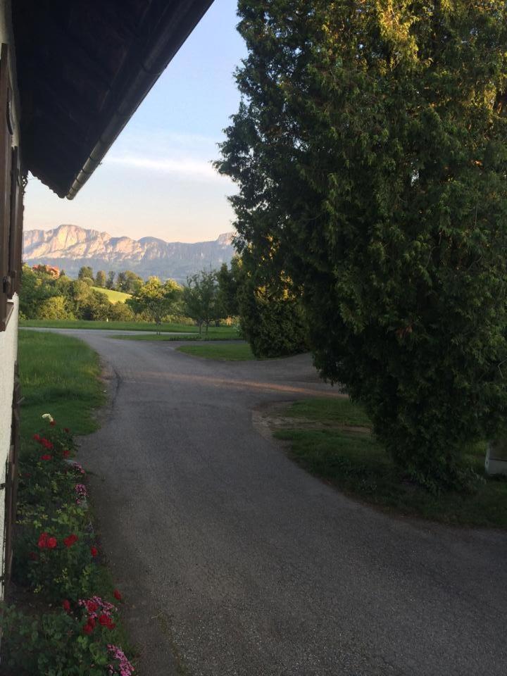 Rauhbergerhof Villa Tiefgraben ห้อง รูปภาพ