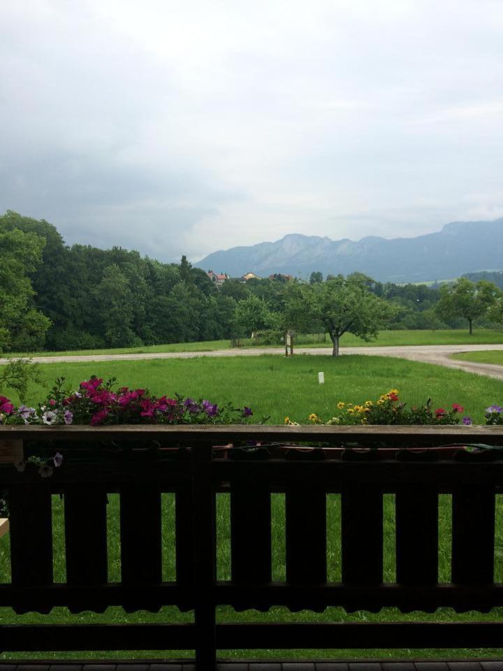 Rauhbergerhof Villa Tiefgraben ห้อง รูปภาพ